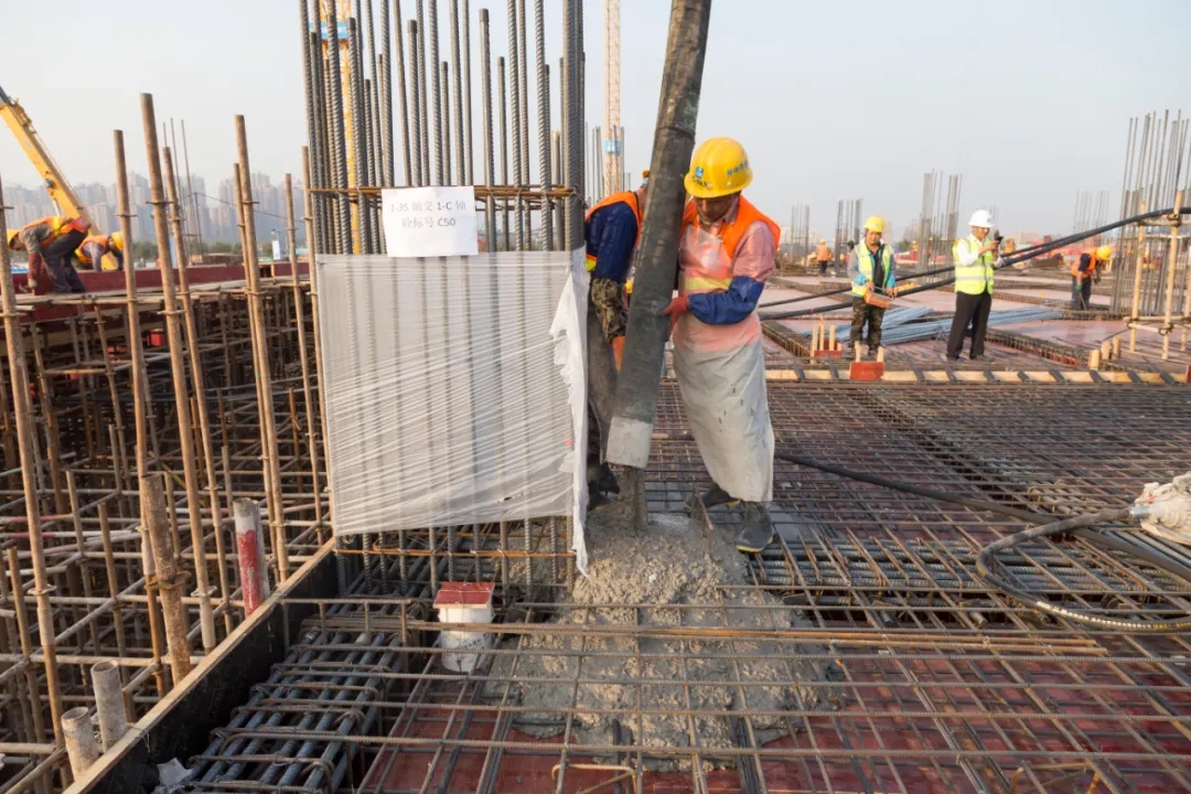 1607420763877762.jpg 2.webp.jpg