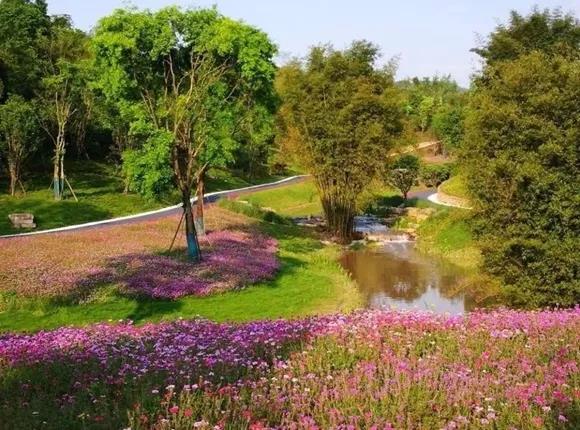 1611625702129185.jpg 微信圖片_20210126094629.jpg