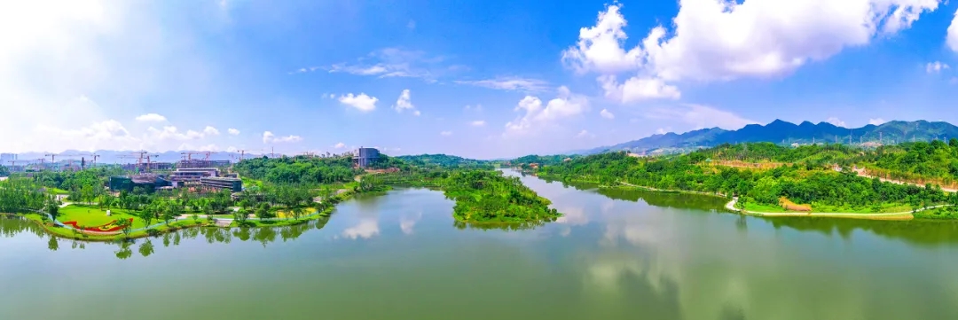 1625706810988173.jpg 640.webp (3).jpg