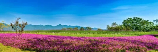 1626310528635053.jpg 640.webp (1).jpg