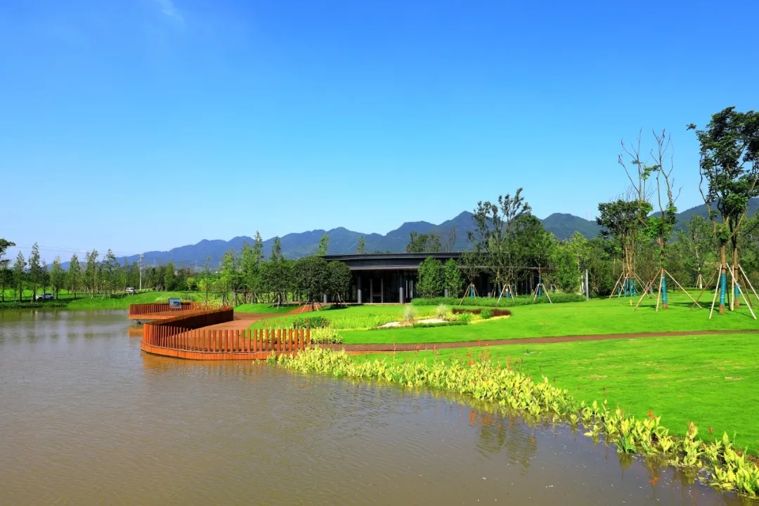 1626398307336706.jpg 640.webp (3).jpg