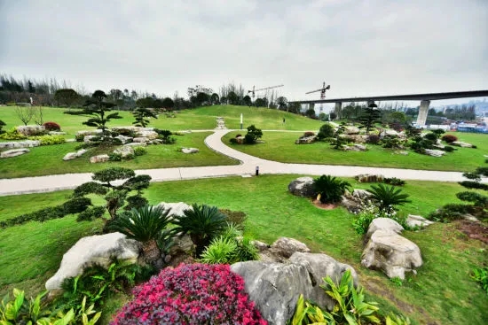 1626398592675017.jpg 640.webp (6).jpg