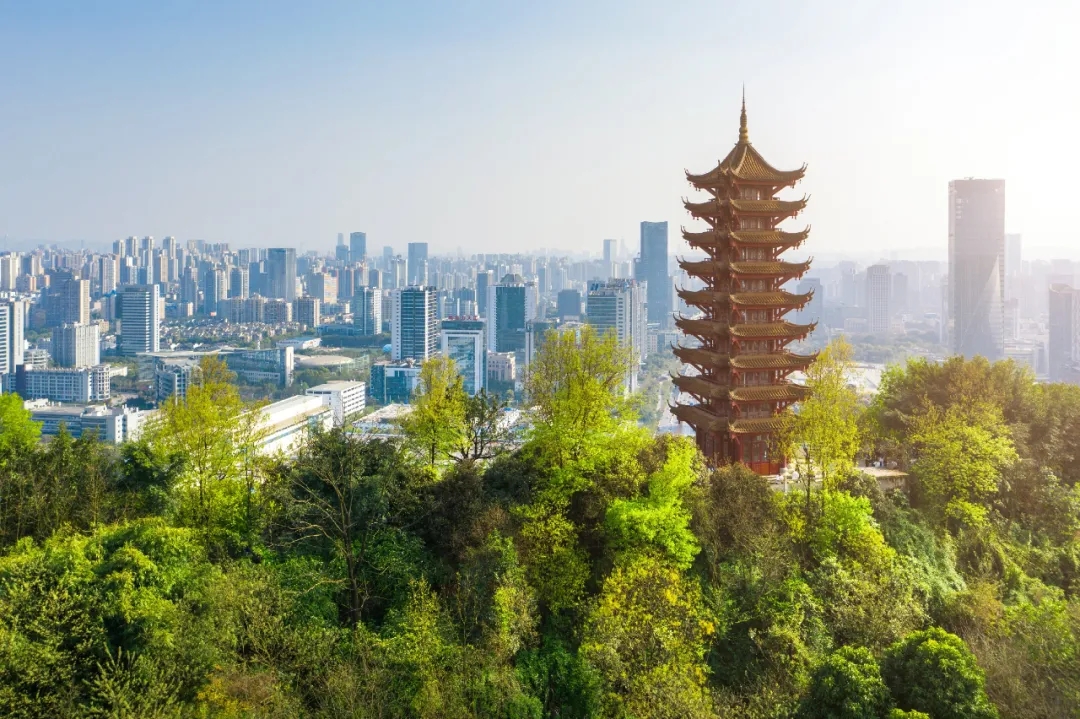 1631062331930137.jpg 640.webp (1).jpg