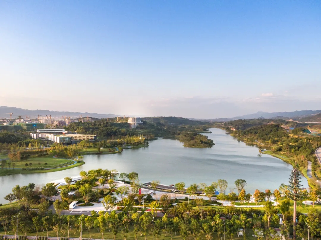 1632964838431509.jpg 640.webp (7).jpg