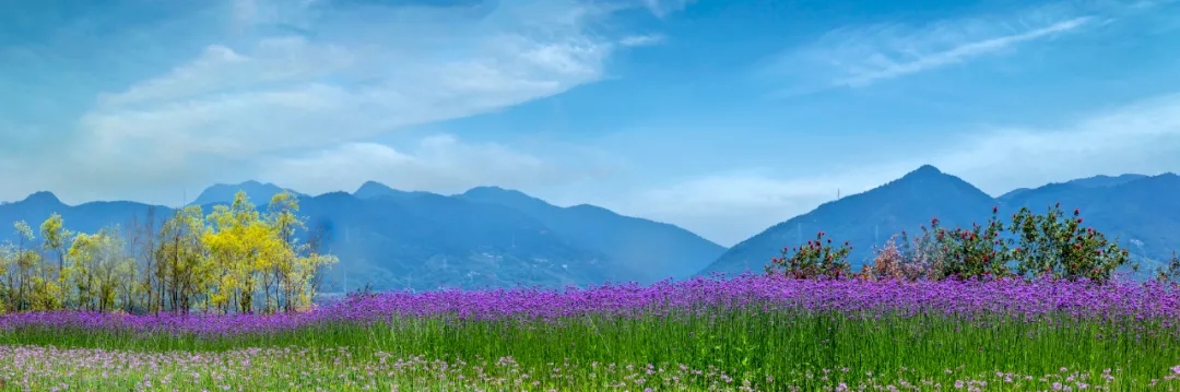 1633914903900427.jpg 640.webp (21).jpg