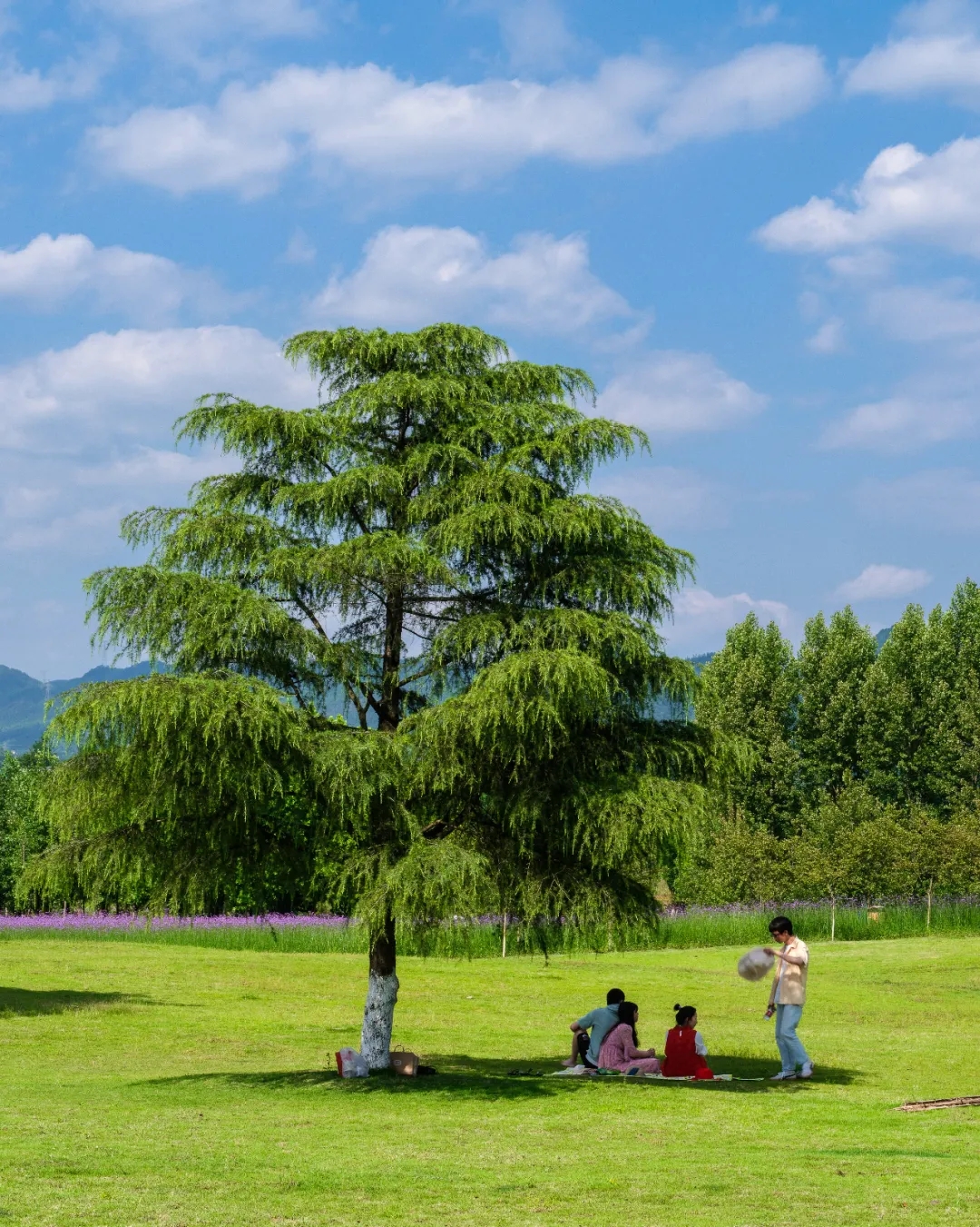 1633914916110389.jpg 640.webp (23).jpg