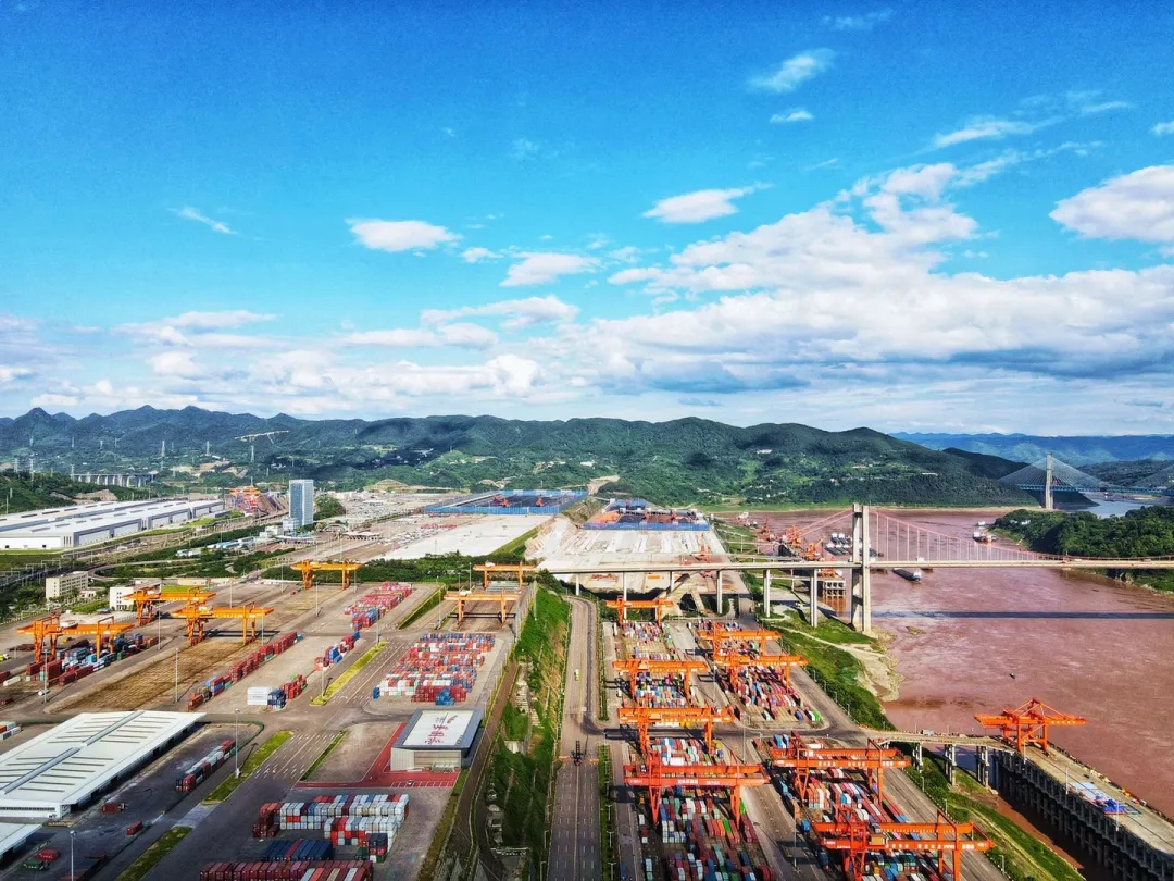 1634173447196525.jpg 640.webp (11).jpg