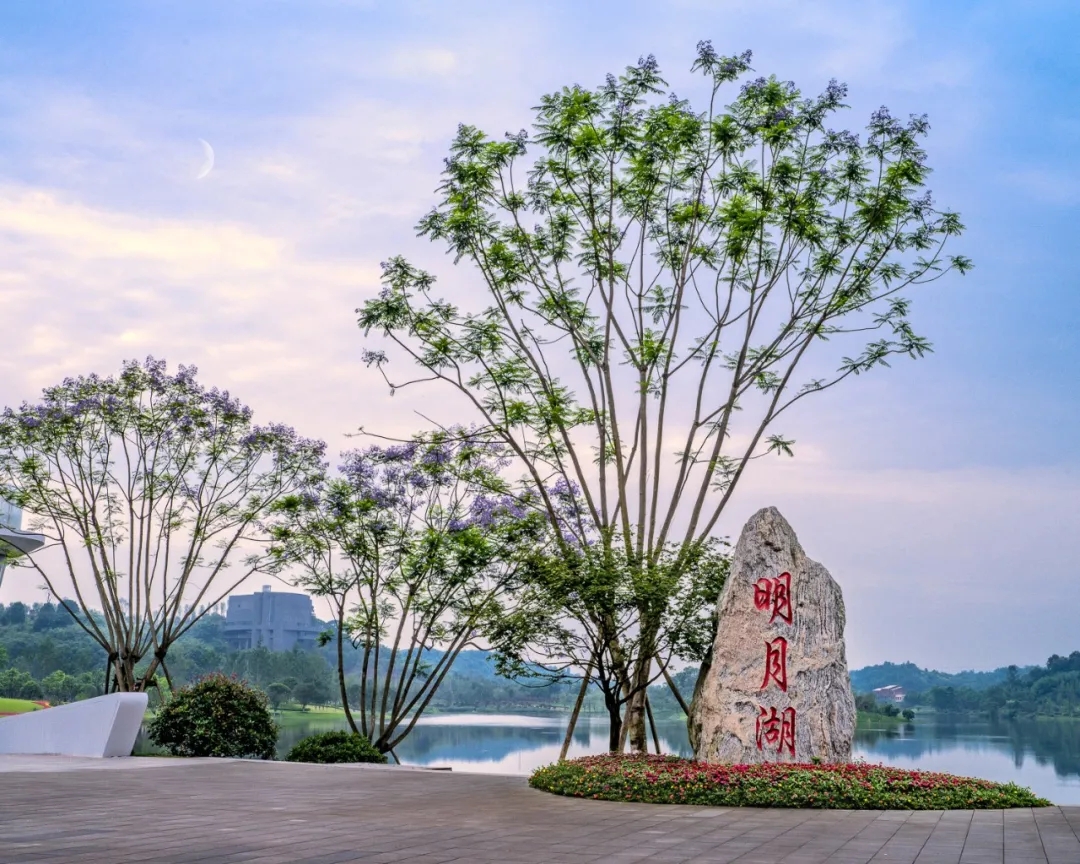 1634605429191617.jpg 640.webp.jpg