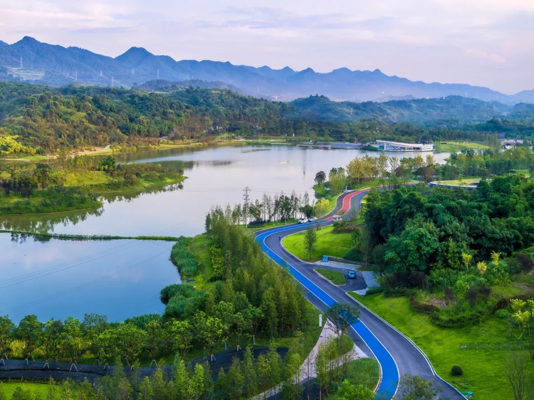 1634605450933408.jpg 640.webp (3).jpg