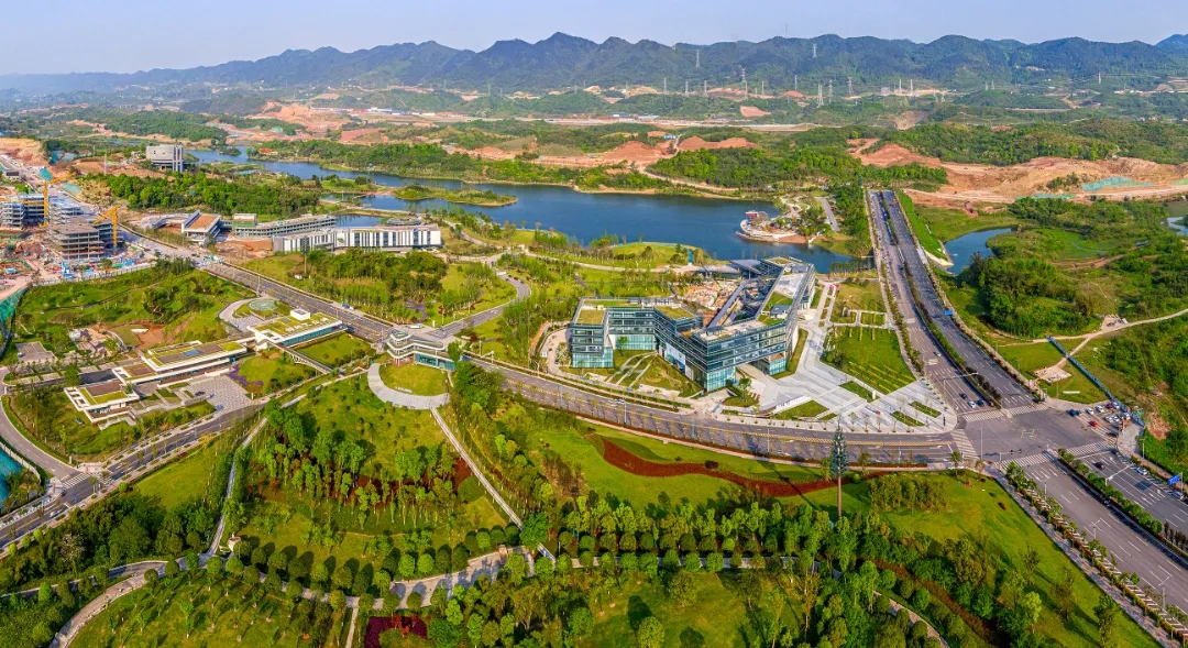 1635125495892906.jpg 640.webp (12).jpg