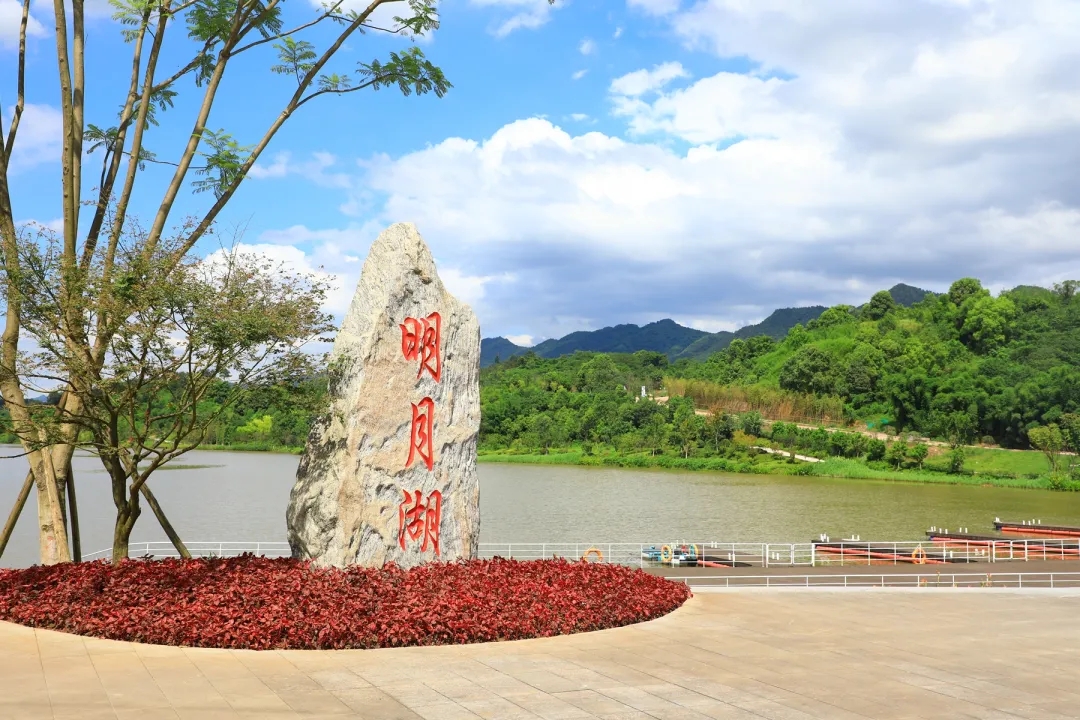 1637025443283492.jpg 640.webp (6).jpg