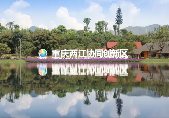 1637025451596633.jpg 640.webp (7).jpg