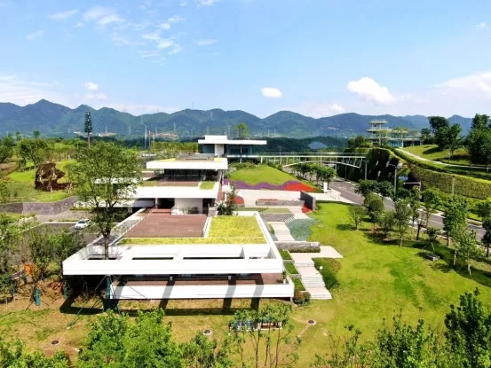 1637025460805415.jpg 640.webp (8).jpg