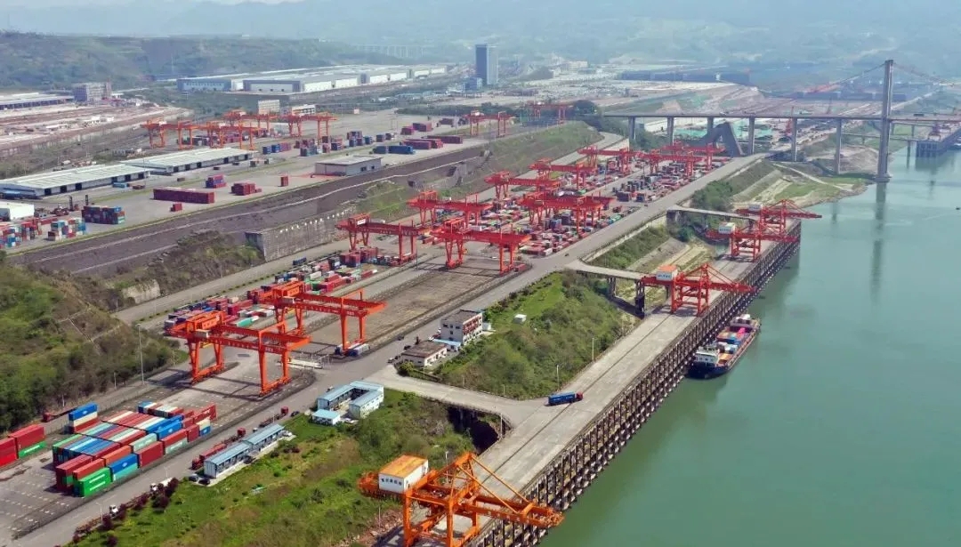 1637111072530395.jpg 640.webp (3).jpg