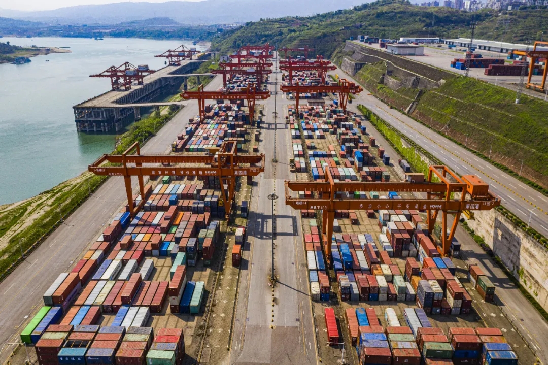 1637629935915845.jpg 640.webp (16).jpg