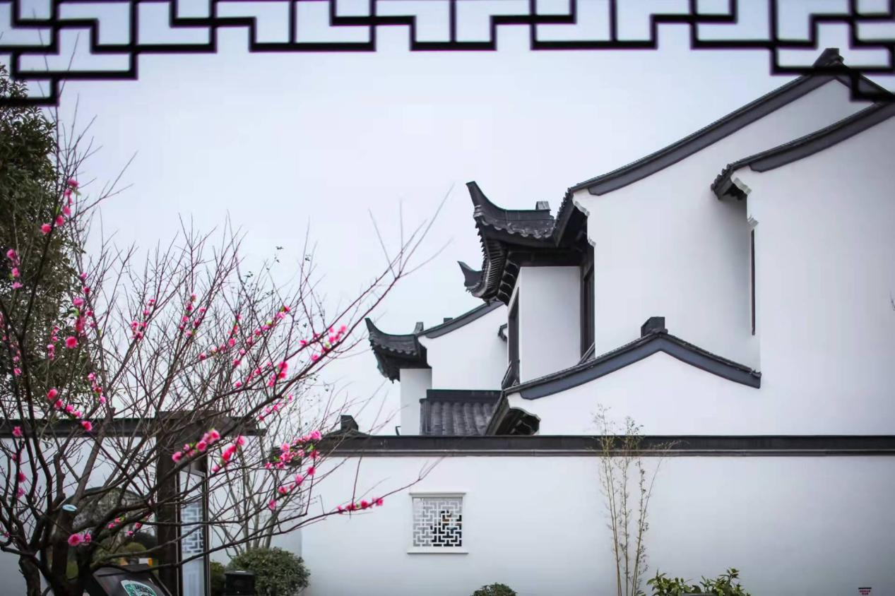 1640921537140925.png 圖片5.png