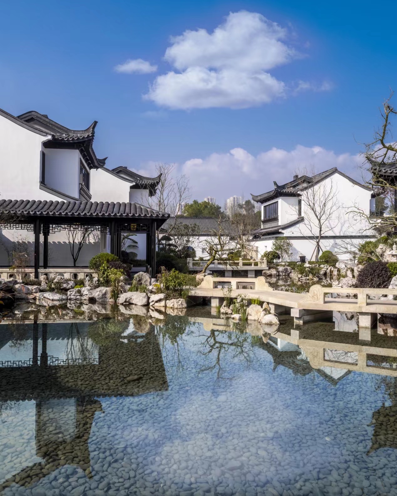 1640924612873361.jpg 71d82c22fcef39e1d00b176693f68c9.jpg