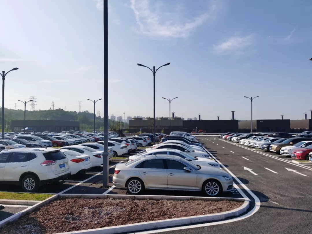 1641260846884215.jpg 640.webp (10).jpg