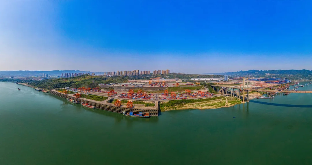 1641517971796281.jpg 640.webp (3).jpg