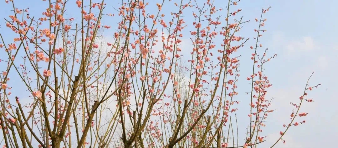 1642124456974248.jpg 640.webp (24).jpg