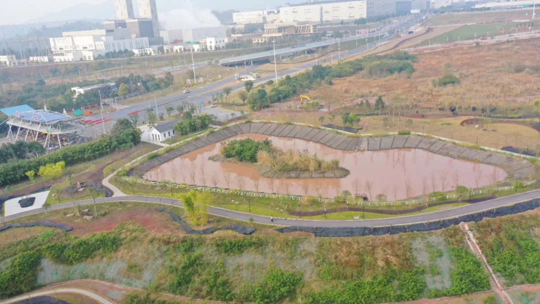 1642124688202197.jpg 640.webp (26).jpg