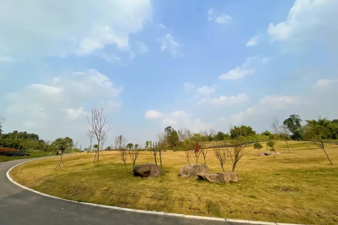 1642124751611339.jpg 640.webp (27).jpg