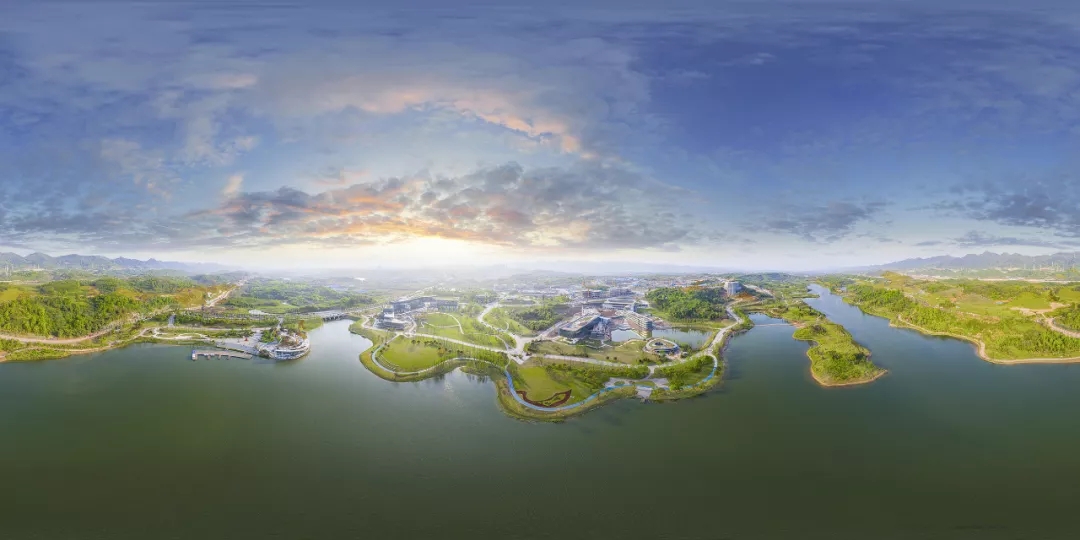 1642727965482104.jpg 640.webp.jpg