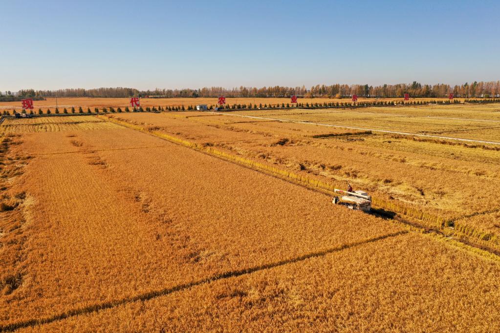 1646874708281191.jpg 1128452681_16467763698231n.jpg