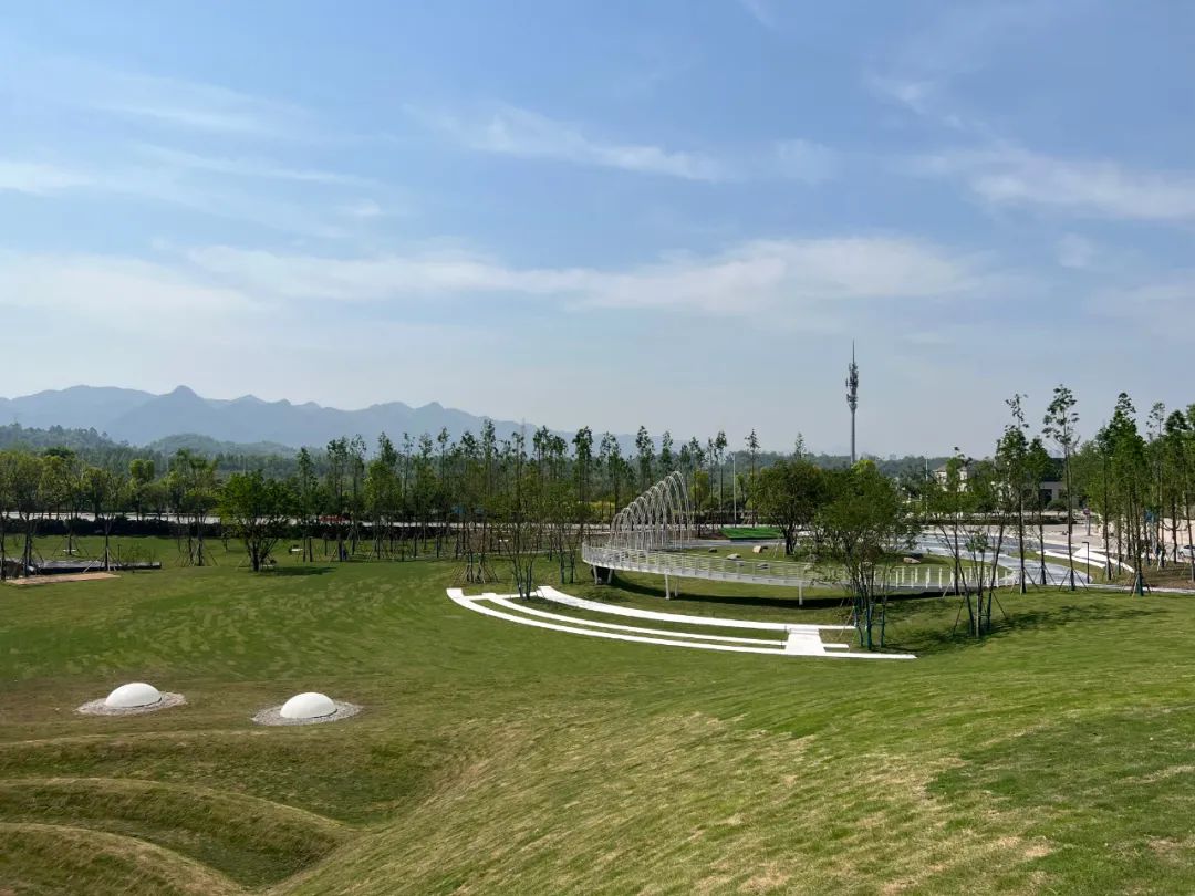 1650763939942529.jpg 640 (11).jpg