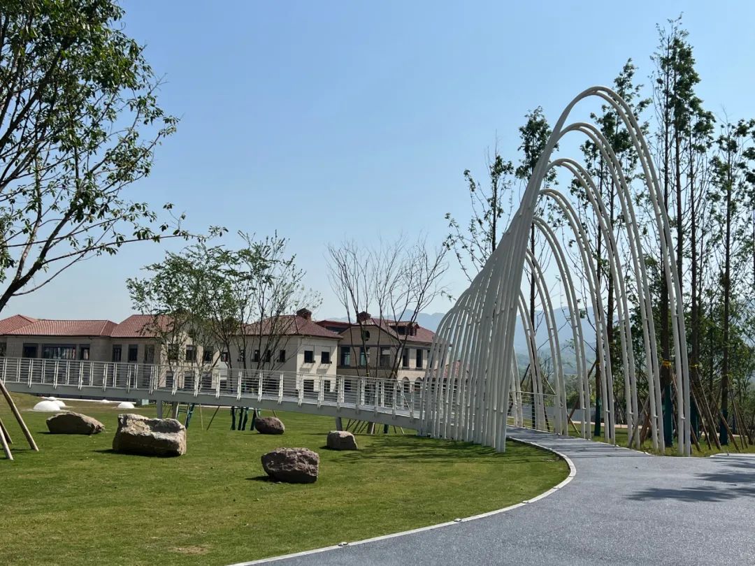 1650763958504656.jpg 640 (12).jpg