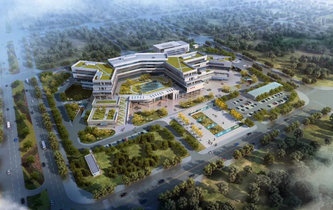 1655945355146118.jpg 640.jpg