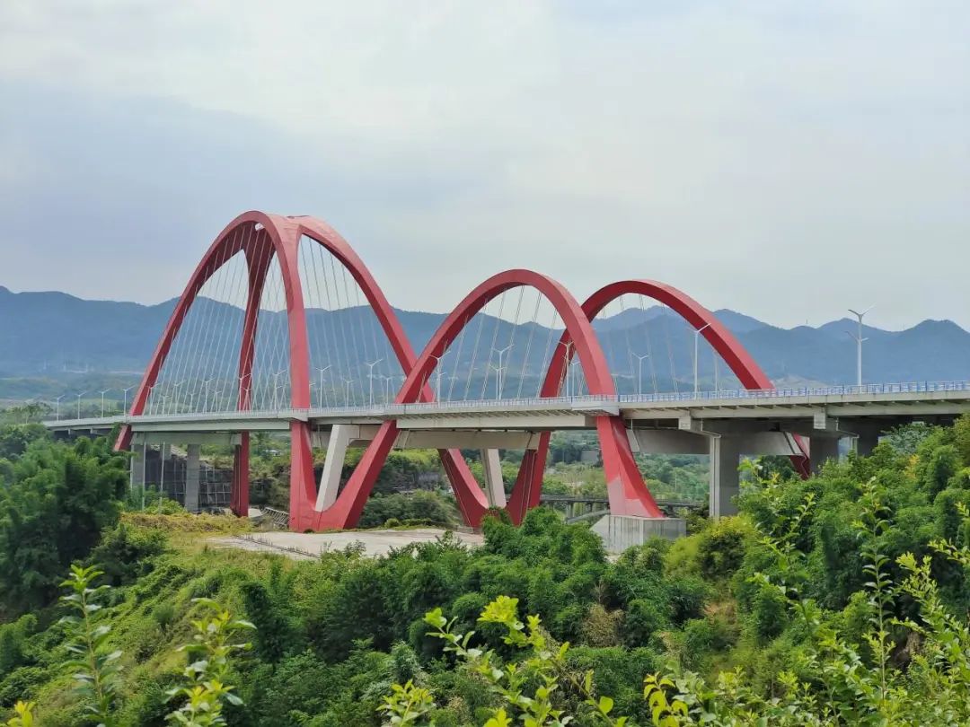 1659318593826572.jpg 640.jpg