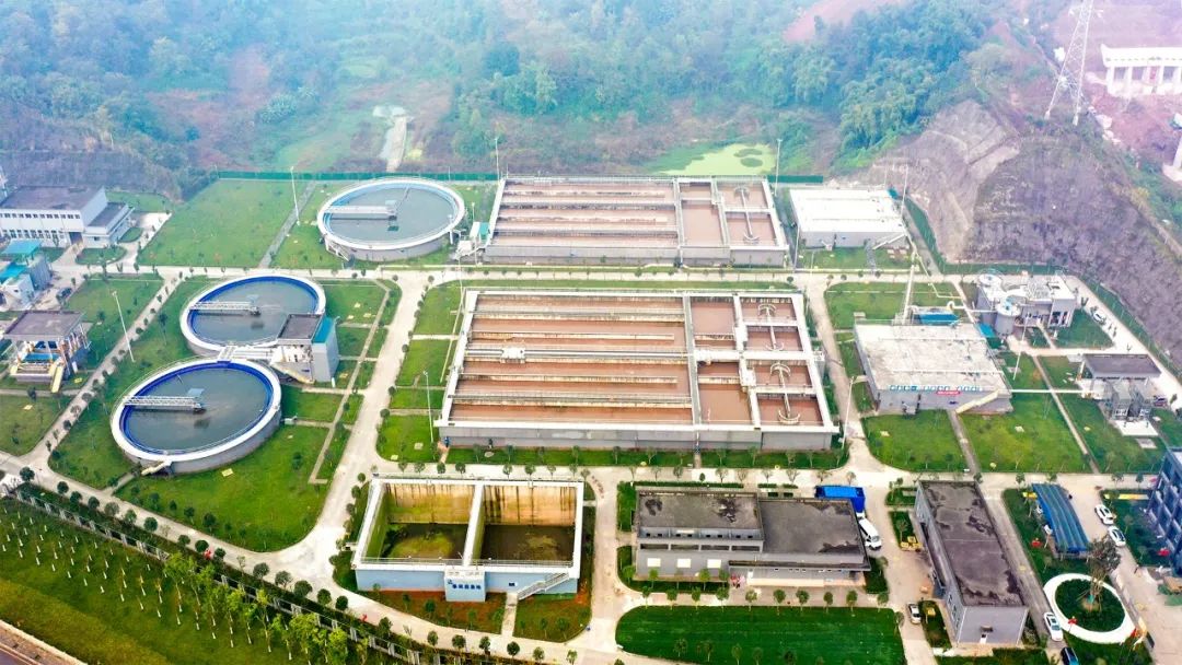 1689676446825309.jpg 640 (12).jpg