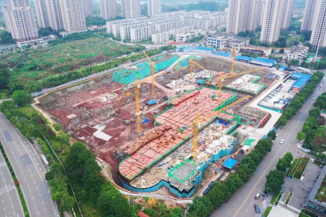 1697160200244543.jpg 640 (4).jpg