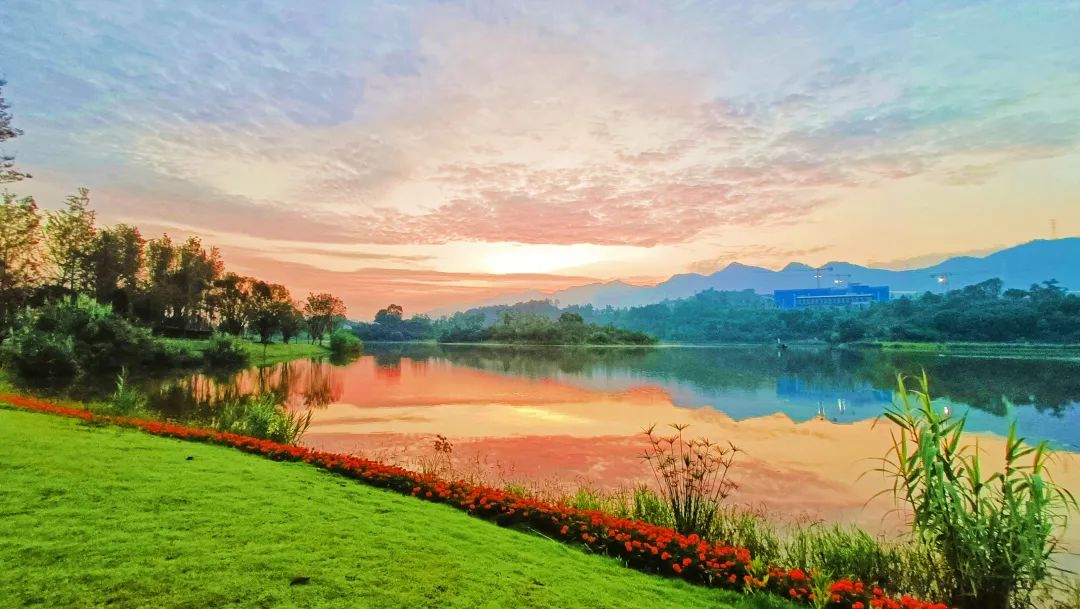 1699319799944639.jpg 640.jpg