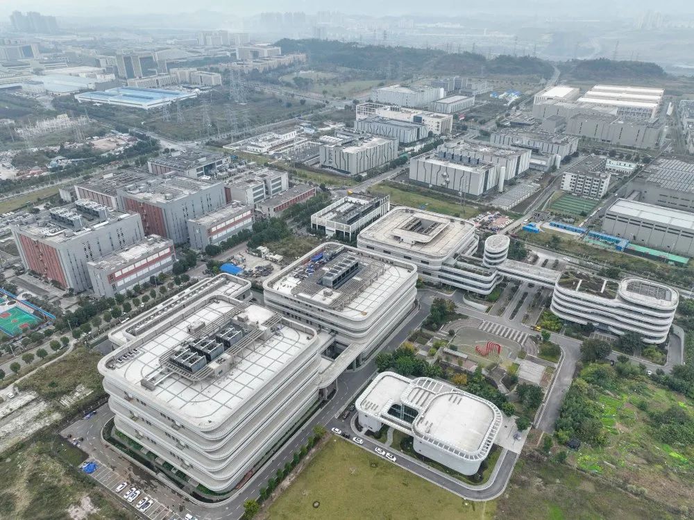 1704417637782797.jpg 3.jpg