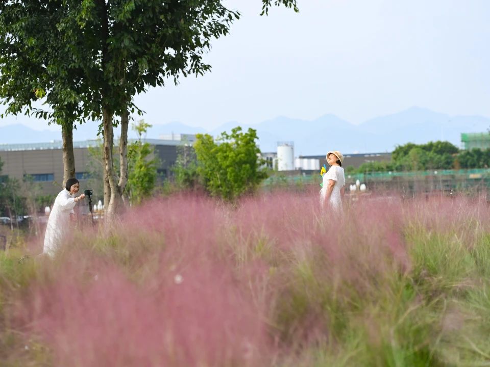 1729044917292135.jpg 微信圖片_20241016101551.jpg