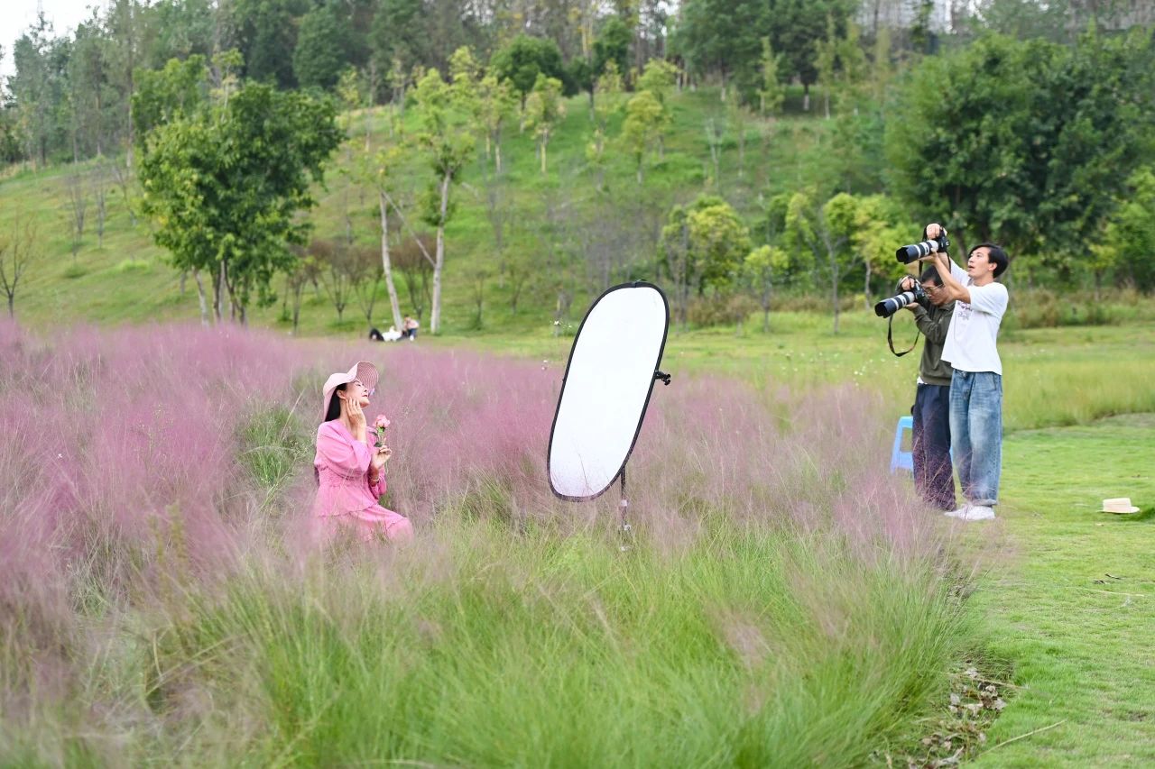 1729044931671055.jpg 微信圖片_20241016101557.jpg