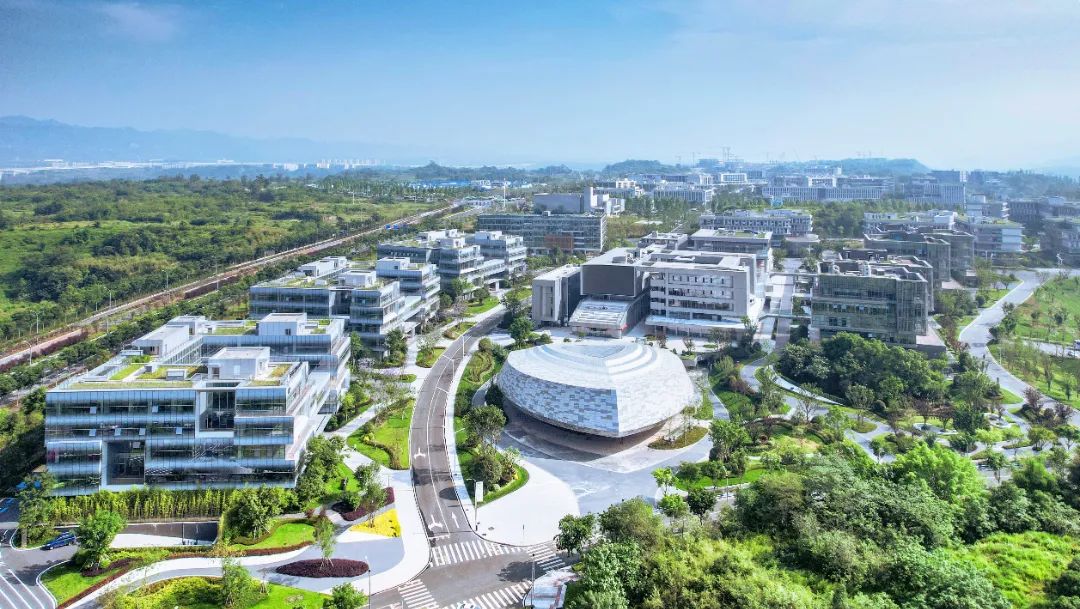 1729216974434488.jpg 15.jpg