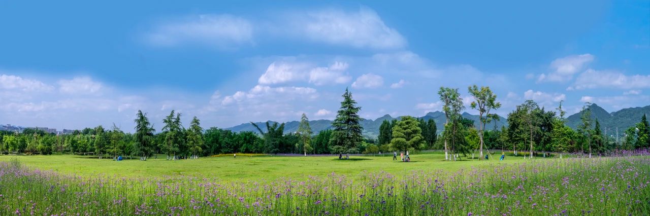 1729217039278504.jpg 19.jpg