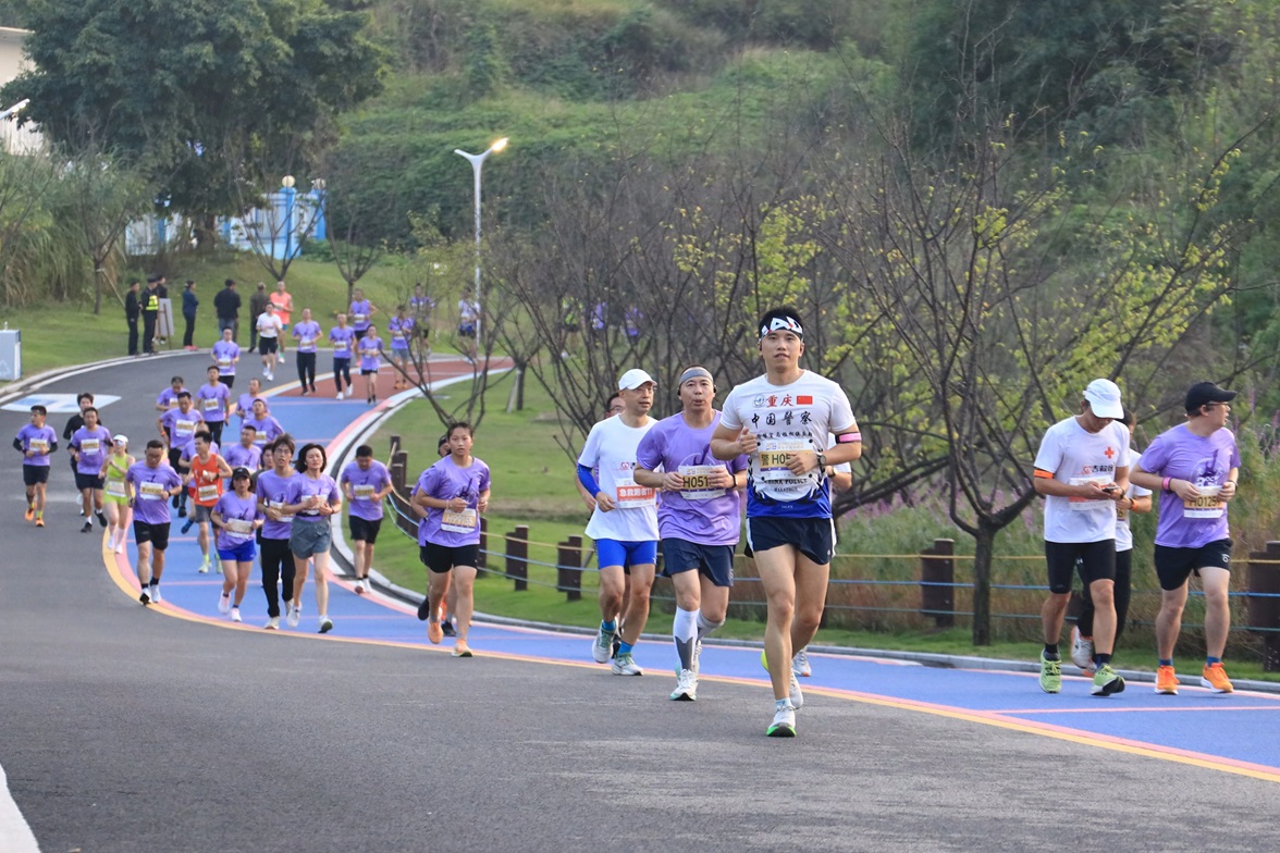 1729563470552670.jpg 13.jpg