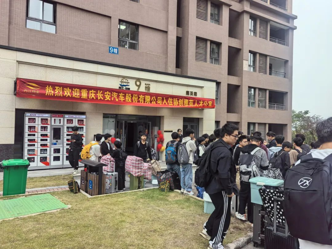 1730855780483400.jpg 1730855693343.jpg