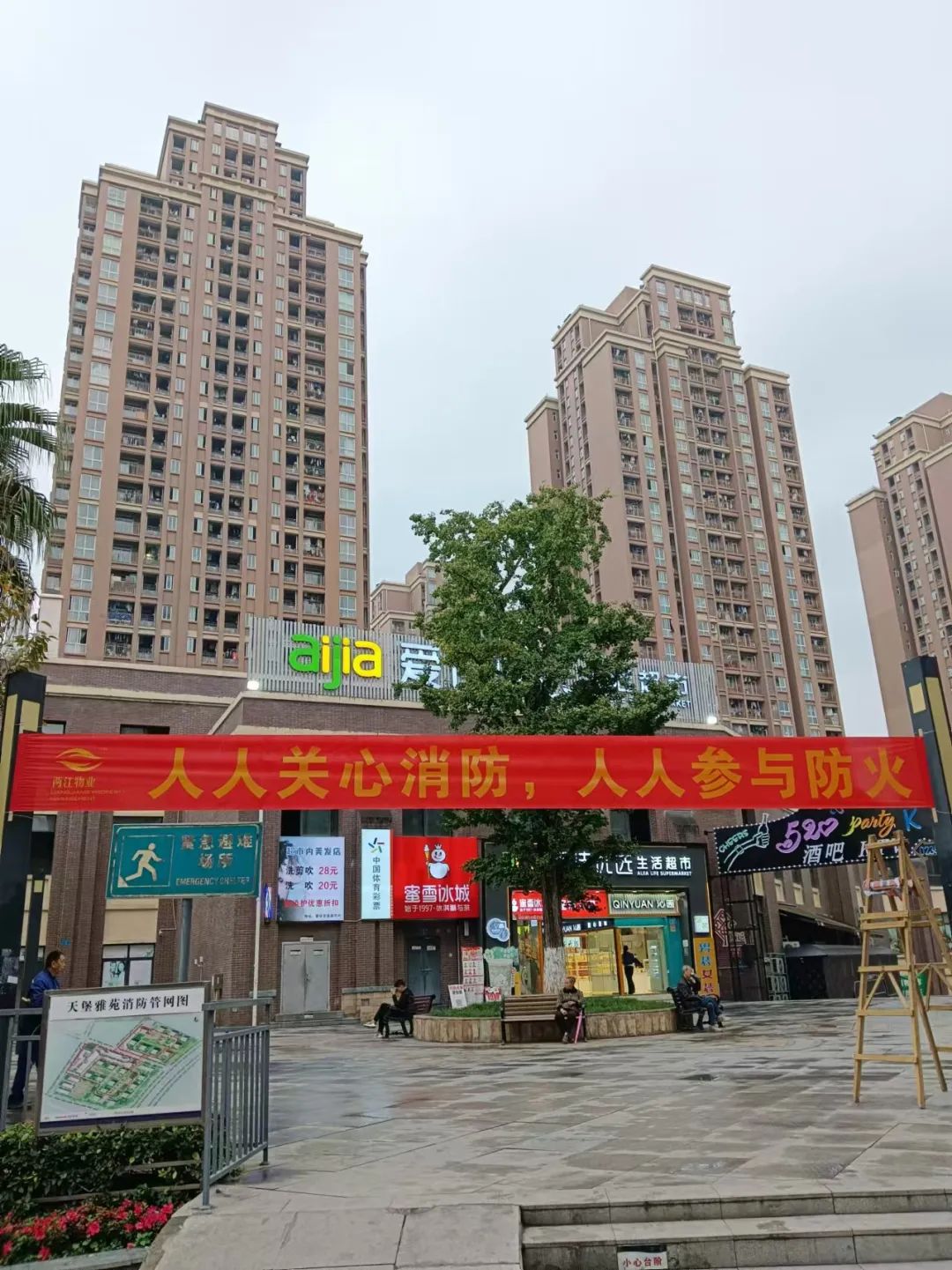 1731377062183109.jpg 龍.jpg