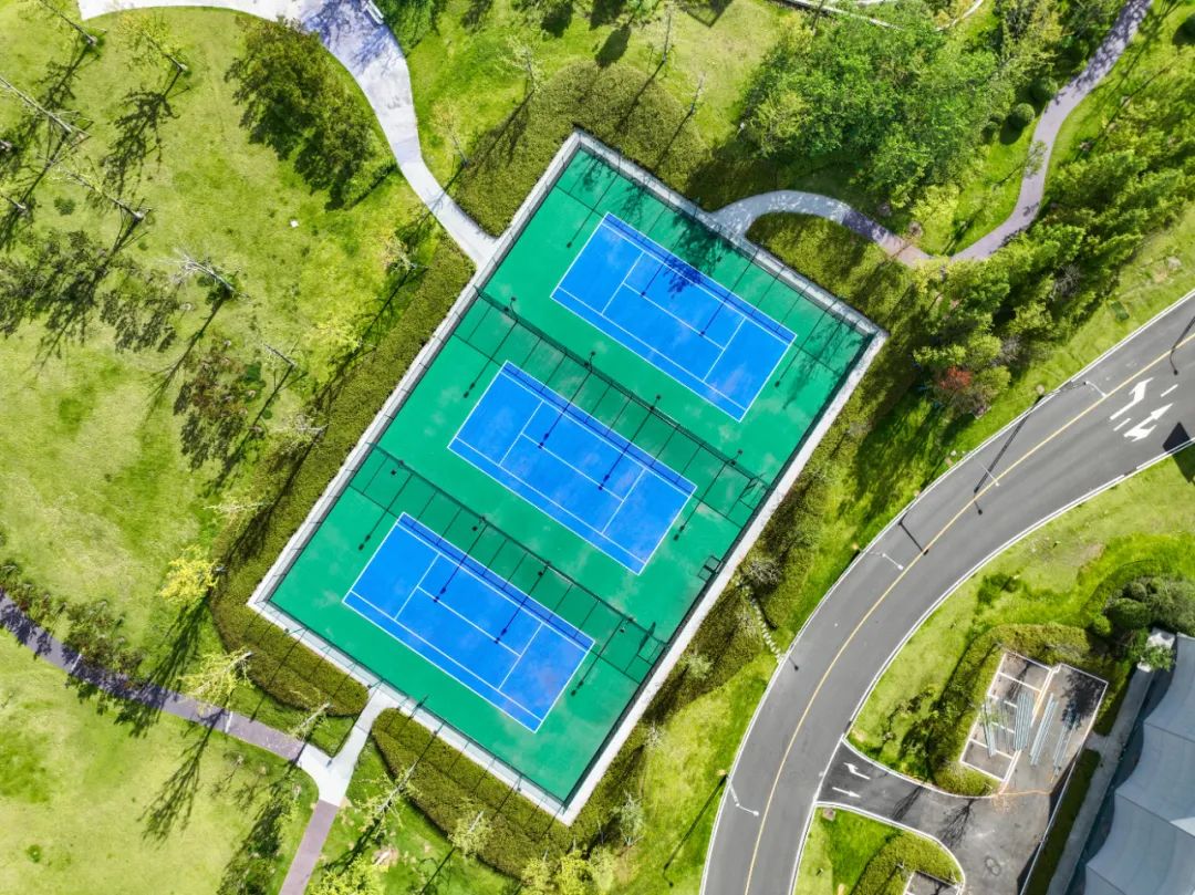 1733989942413149.jpg 12.jpg