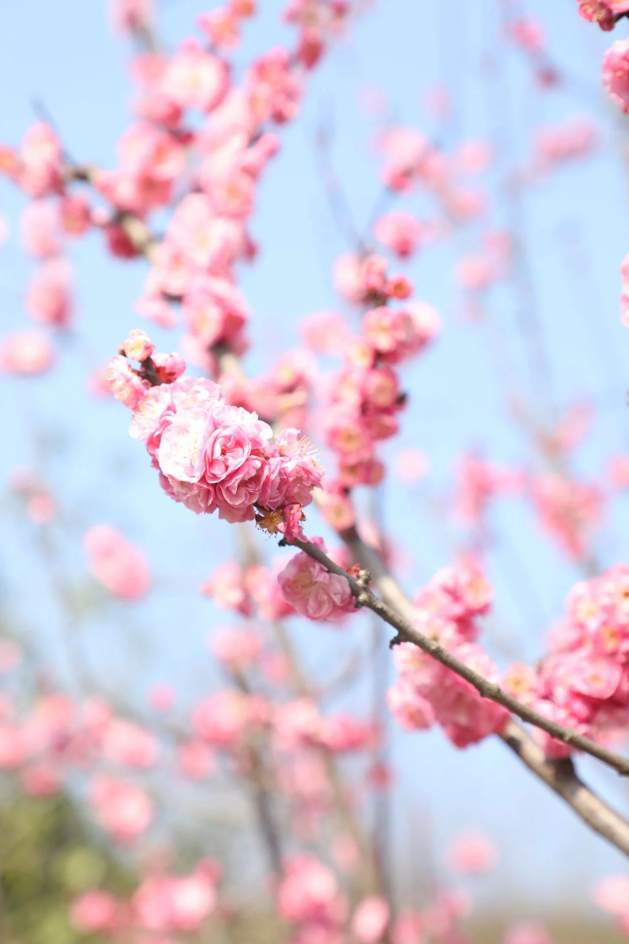 1740448010877335.jpg 微信圖片_20250225094532.jpg