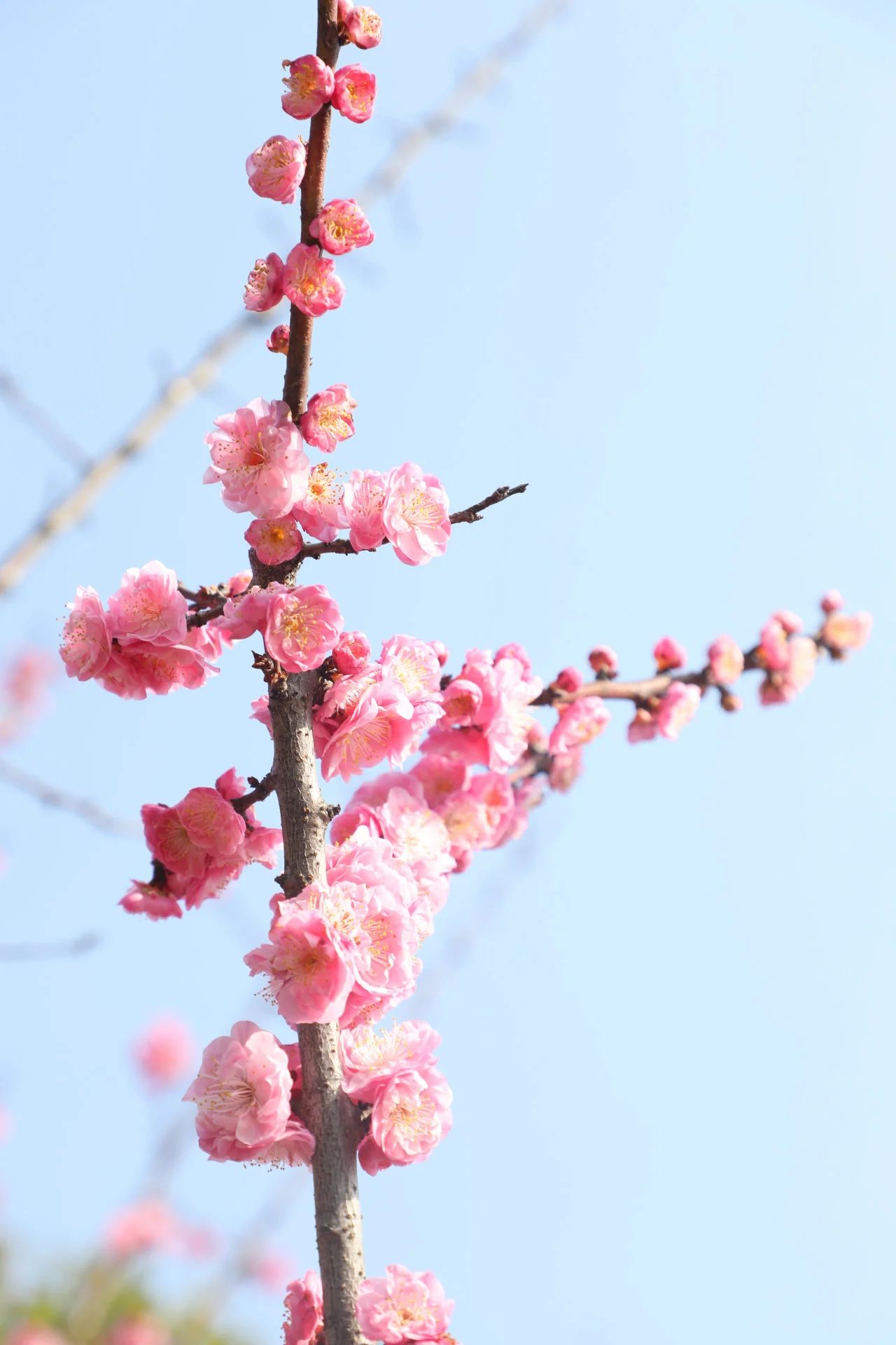 1740448030978889.jpg 微信圖片_20250225094537.jpg