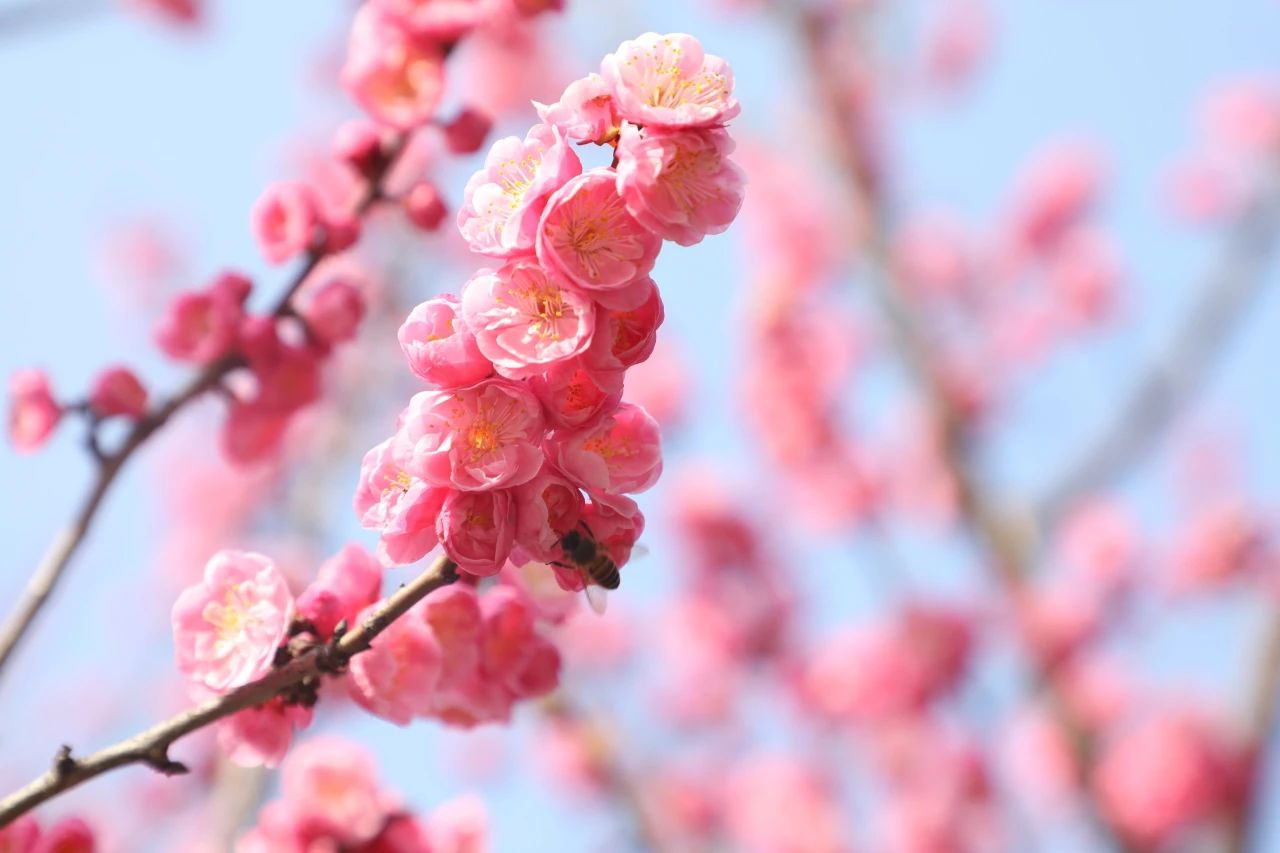 1740448105427843.jpg 微信圖片_20250225094603.jpg