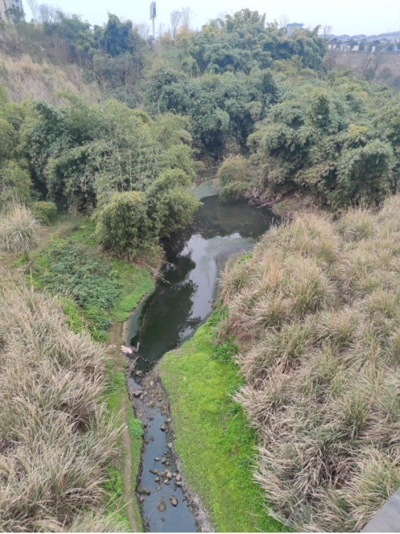 1740623035576127.png 微信圖片_20250227102255.png