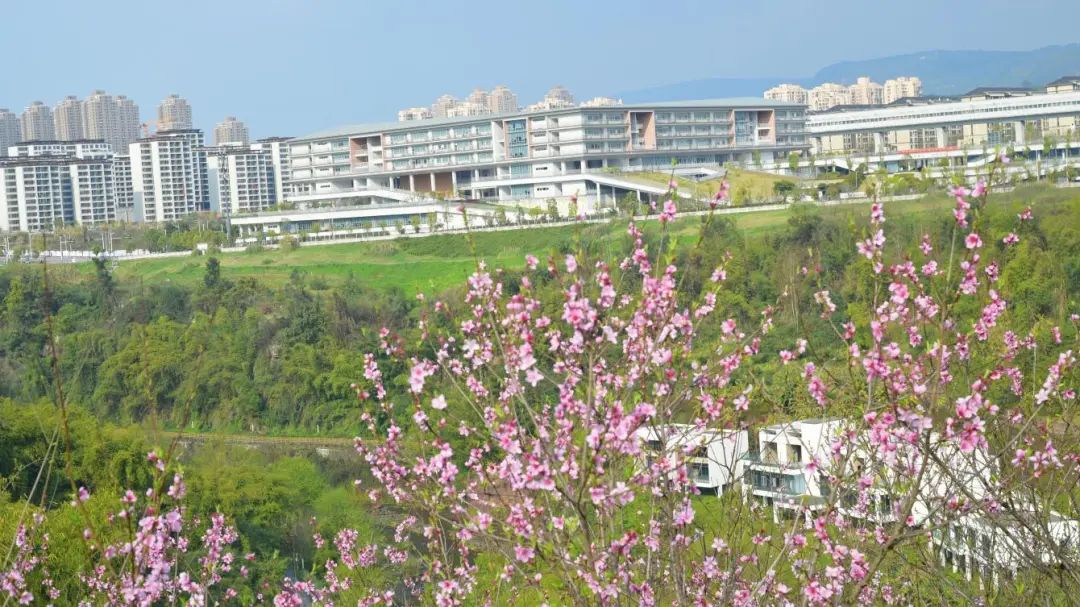 1743384566970388.jpg 微信圖片_20250331092812.jpg