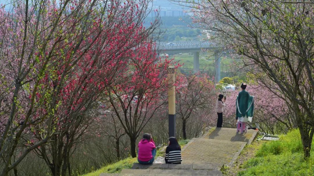 1743384592113310.jpg 微信圖片_20250331092821.jpg